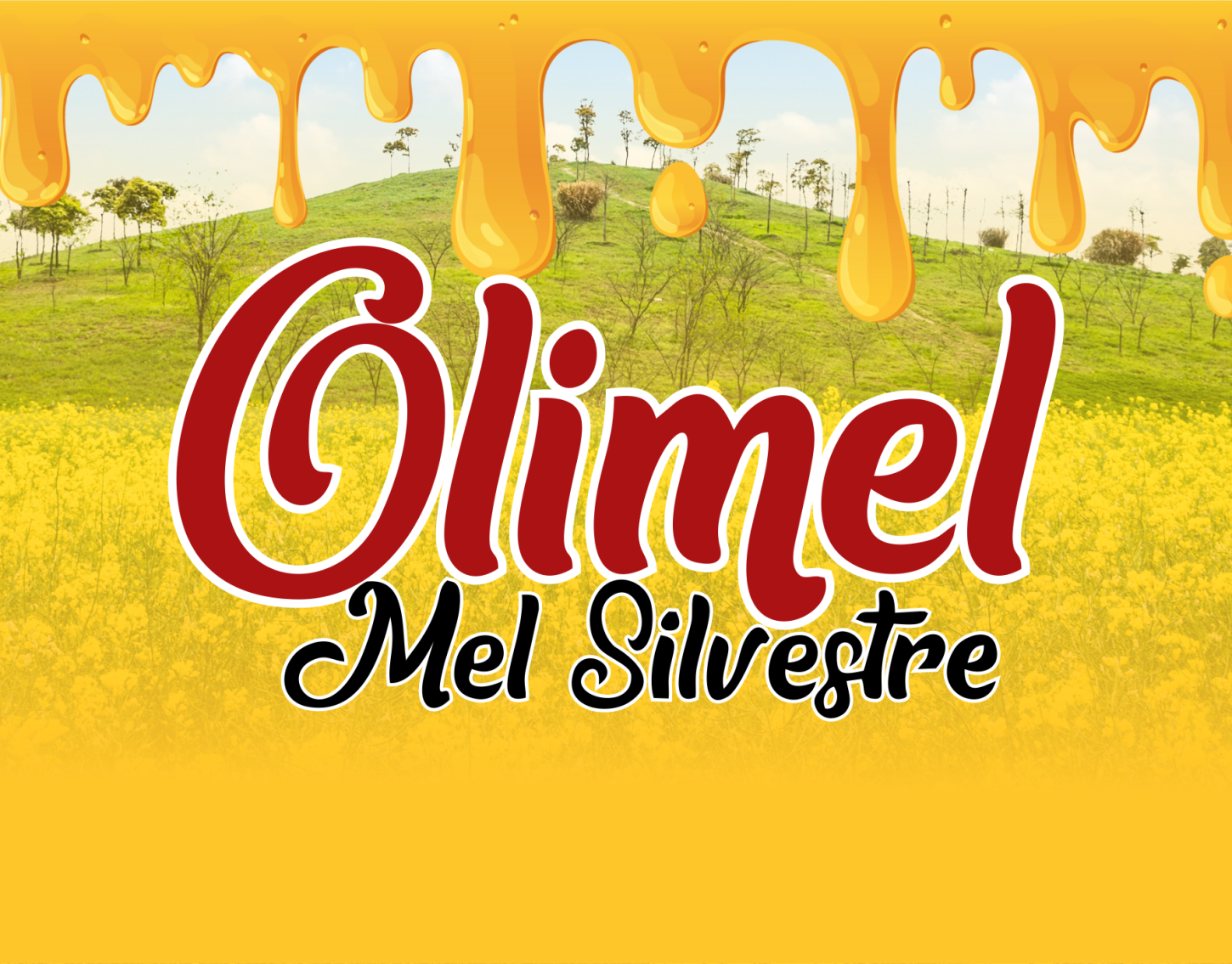Descubra as Novidades da Olimel - Mel Silvestre!