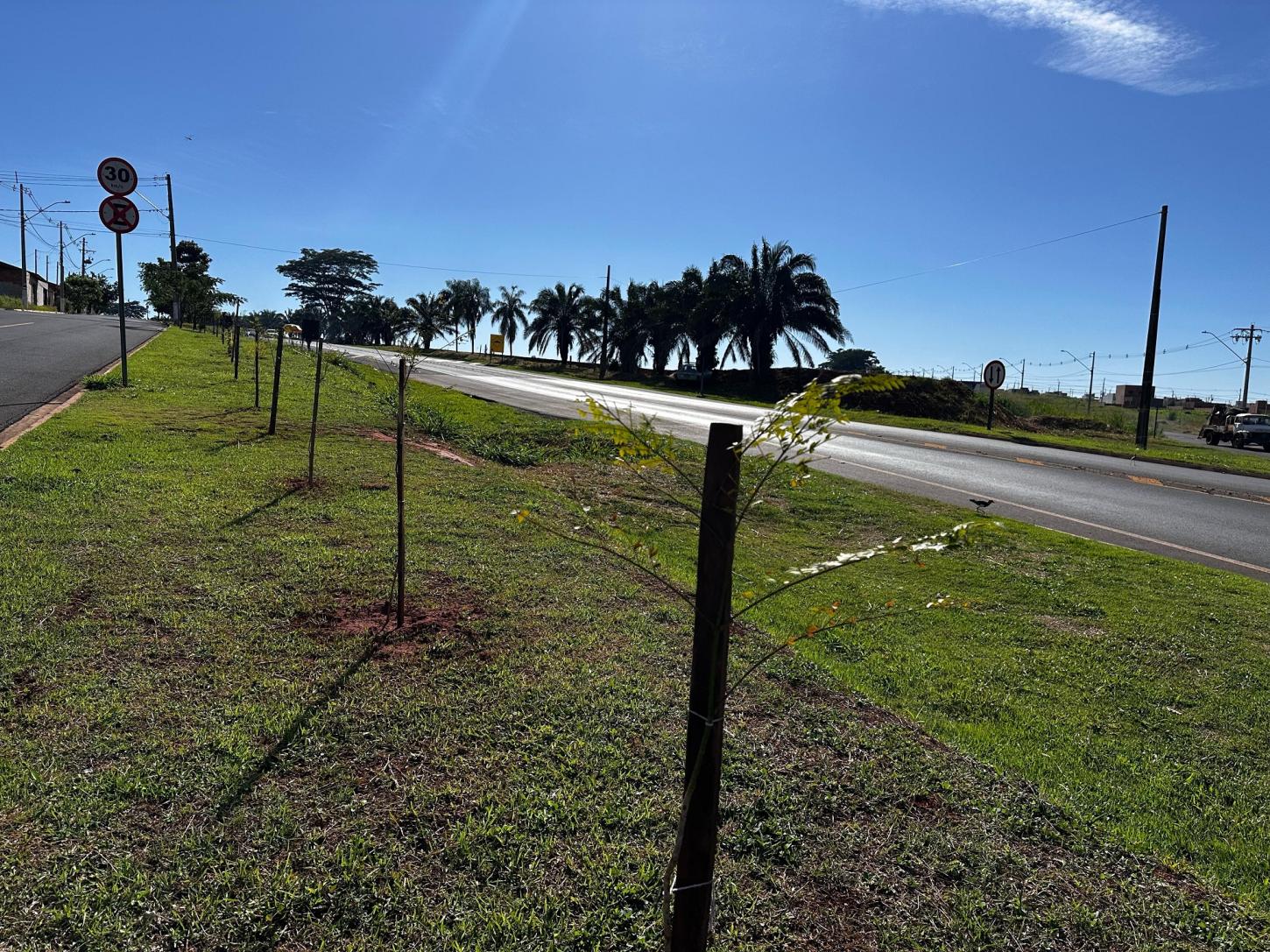 Olímpia mais verde: Prefeitura promove plantio de mudas para ampliar cobertura vegetal