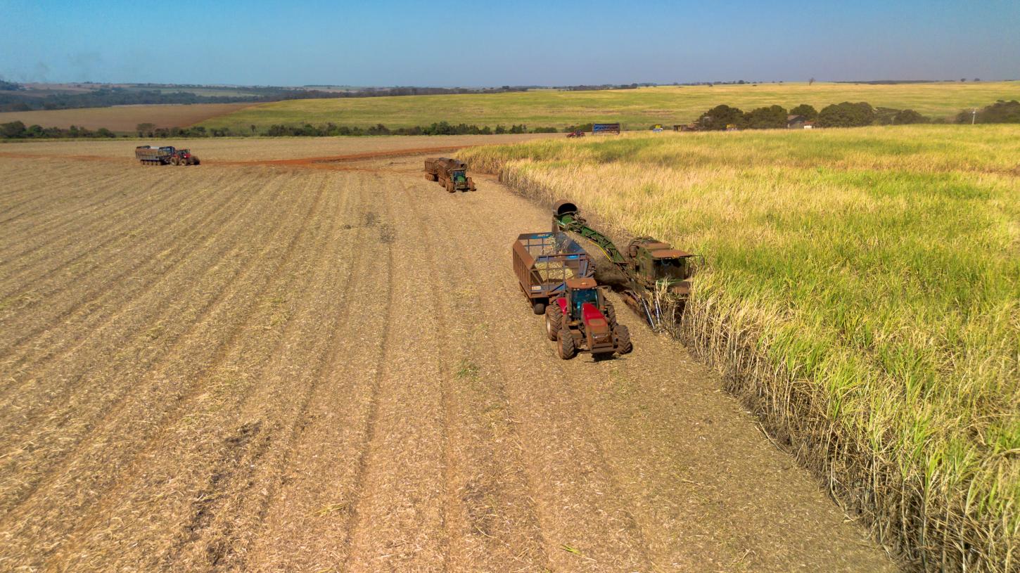 Tereos lança Relatório de Sustentabilidade 24/25 e reforça compromisso com a descarbonização e a agricultura regenerativa