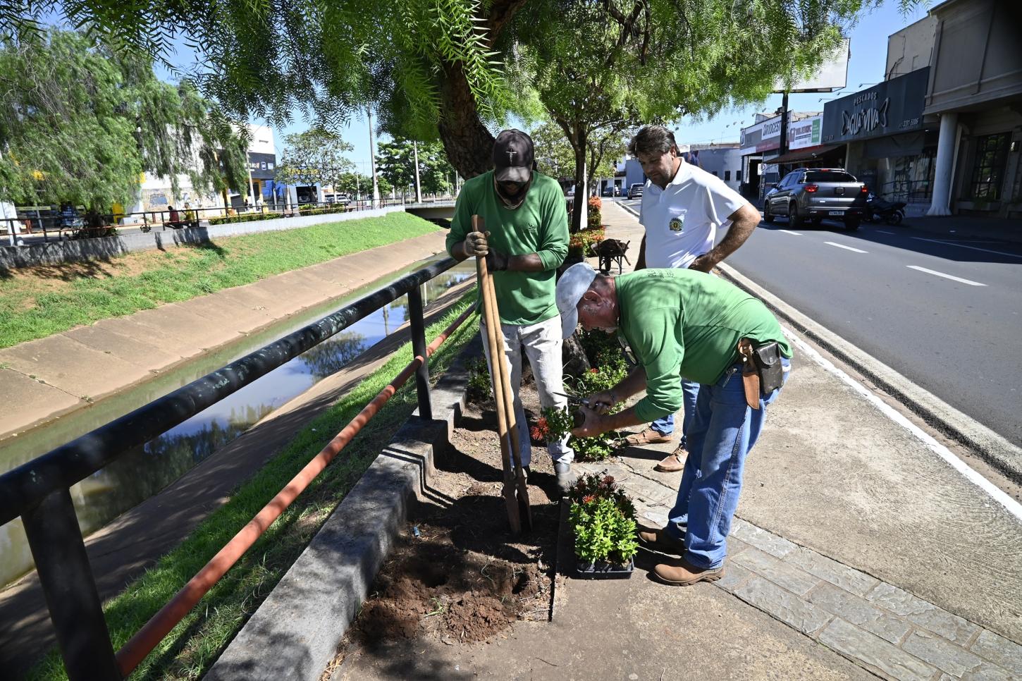 Prefeitura Realiza Plantio De 600 Mudas E Instala 200 Novas Lixeiras Em Ação De Preservação Ambiental E Arborização