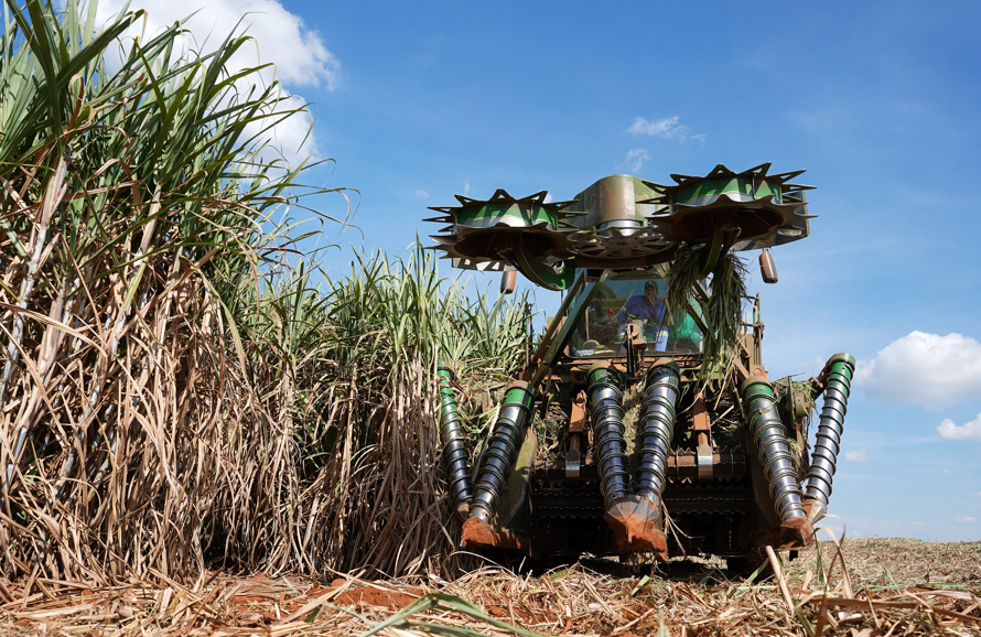 Tereos amplia frota de colhedoras de duas linhas e avança em eficiência energética no campo