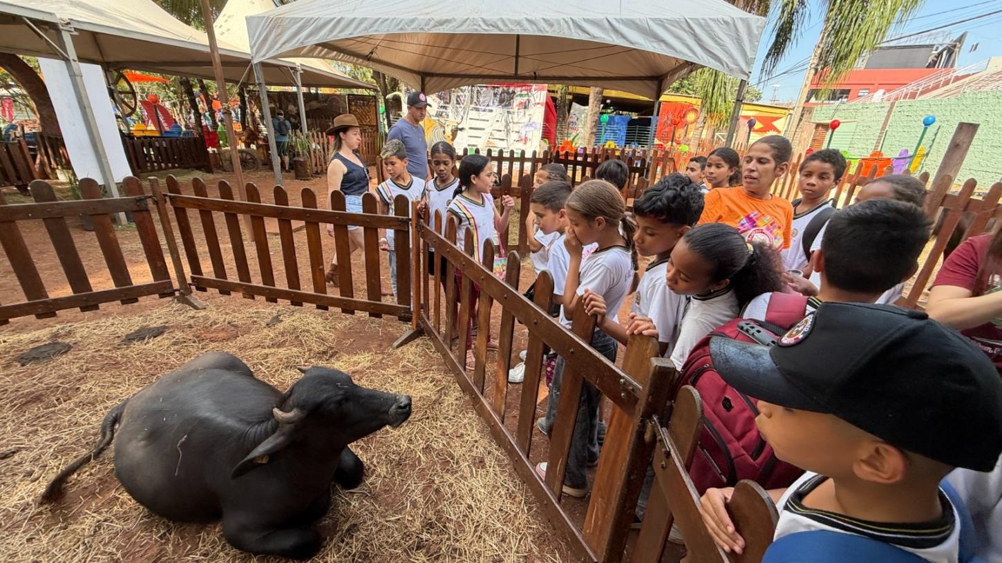 Alunos da rede municipal de Olímpia participam de visita educativa ao Rancho do Peãozinho