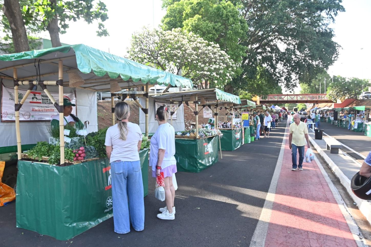 Feira Livre terá apresentação de Marcos Paulo e Zé Pereira neste domingo (23)