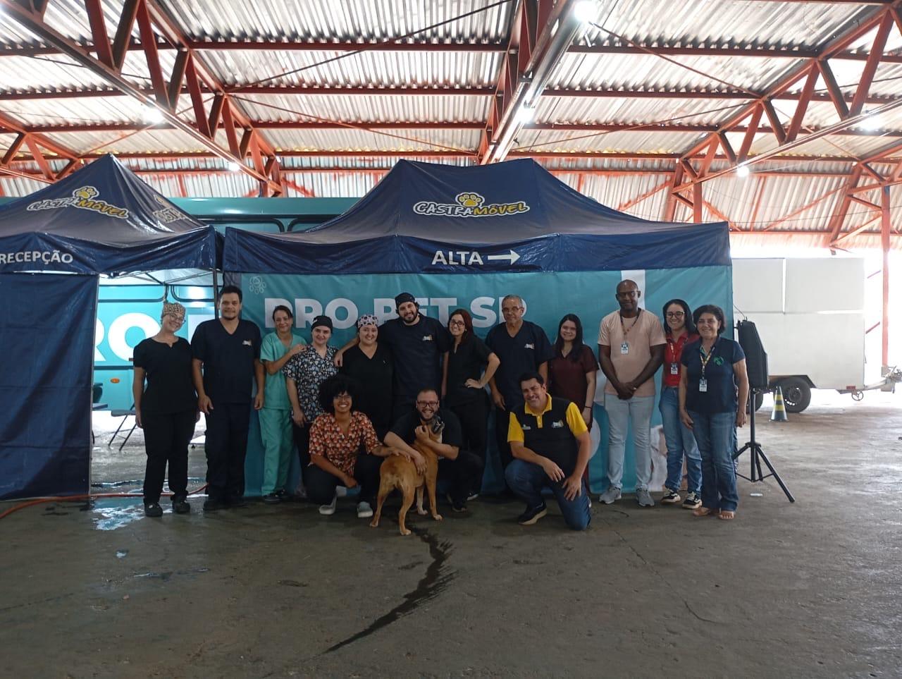 Mutirão gratuito promove castração de 189 animais em Olímpia
