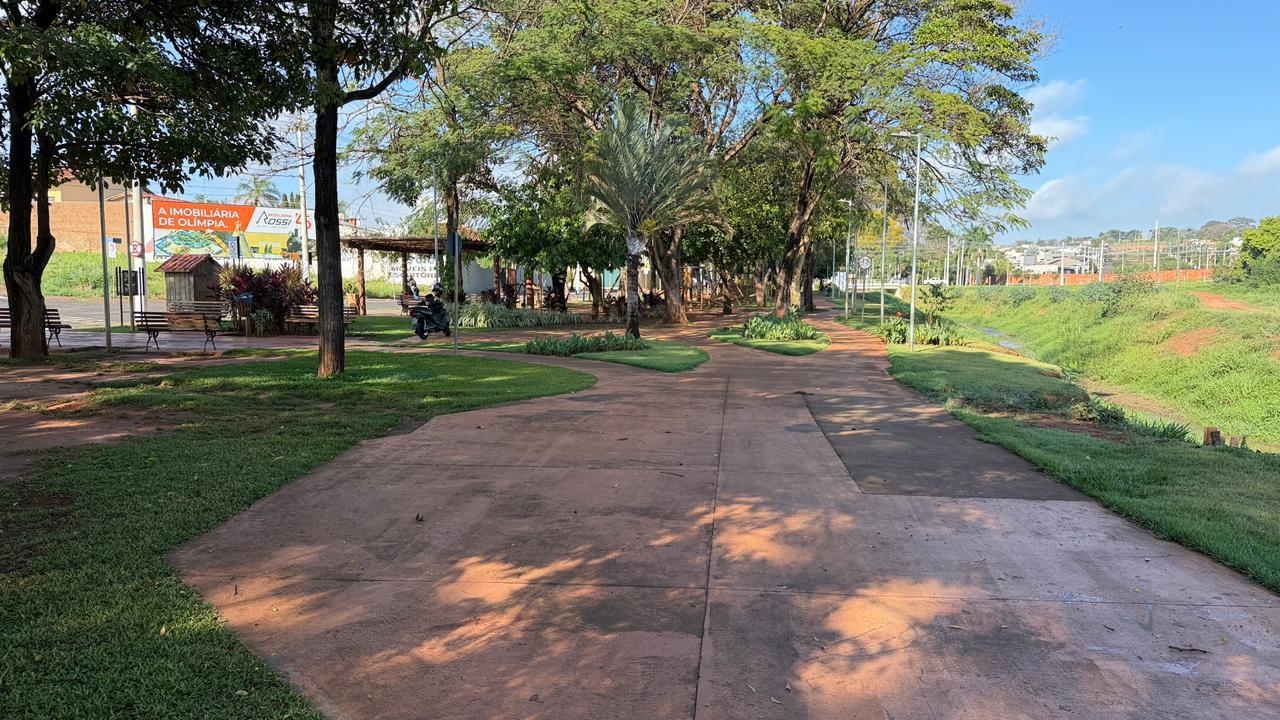 Prefeitura realiza nova etapa do diagnóstico da arborização urbana de Olímpia