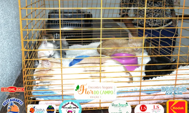 1º Encontro Vegano reúne conhecimento, gastronomia, bem-estar e solidariedade em Olímpia