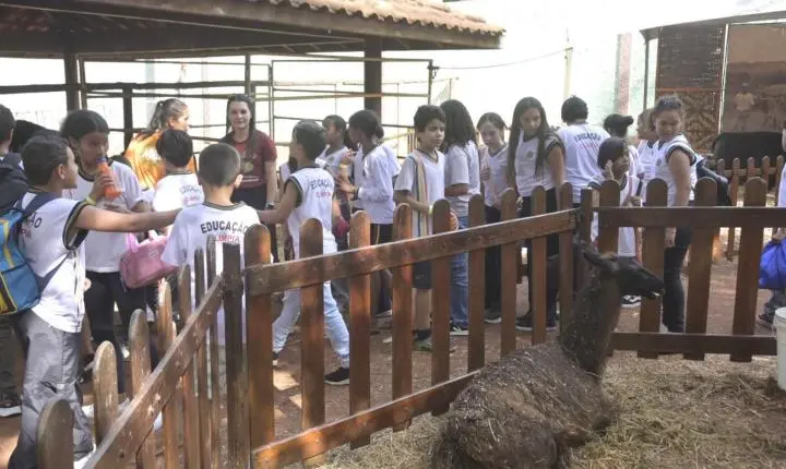 Alunos da rede municipal de Olímpia participam de visita educativa ao Rancho do Peãozinho