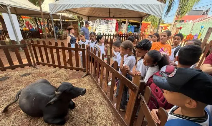Alunos da rede municipal de Olímpia participam de visita educativa ao Rancho do Peãozinho