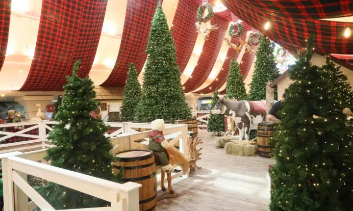 Chegada Do Papai Noel Marca Início Da Campanha De Natal Do Riopreto Shopping
