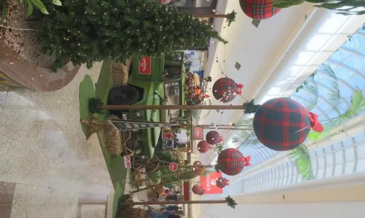 Chegada Do Papai Noel Marca Início Da Campanha De Natal Do Riopreto Shopping