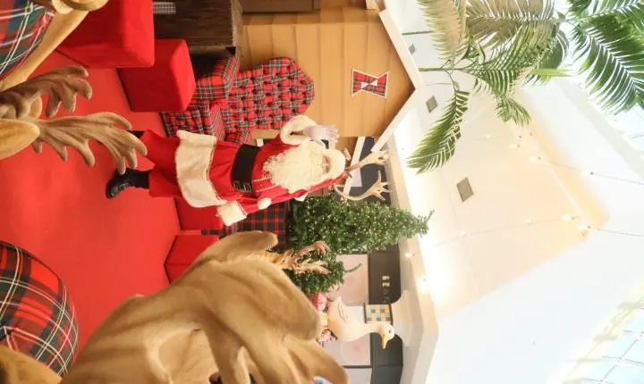 Chegada Do Papai Noel Marca Início Da Campanha De Natal Do Riopreto Shopping
