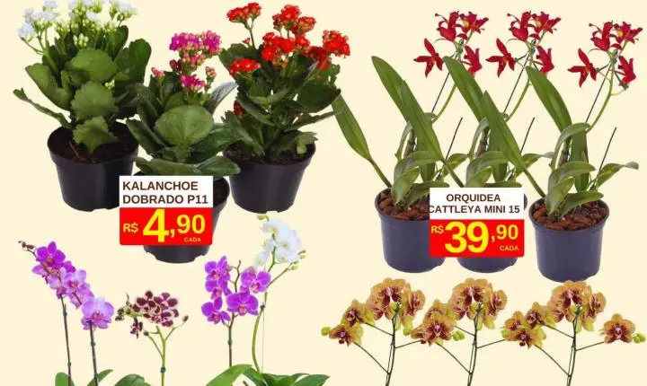 FIM DE SEMANA DE OFERTAS É NO TOME LEVE!