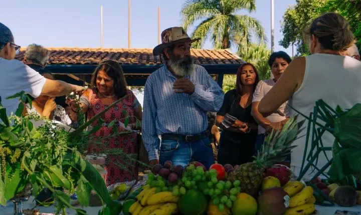 Mais De 150 Atendimentos Gratuitos Marcam Feira Vida E Saúde Em Ribeiro Dos Santos ✨🌿