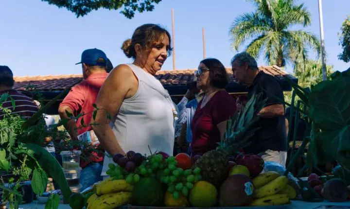 Mais De 150 Atendimentos Gratuitos Marcam Feira Vida E Saúde Em Ribeiro Dos Santos ✨🌿