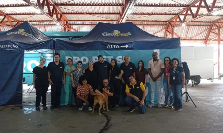Mutirão gratuito promove castração de 189 animais em Olímpia