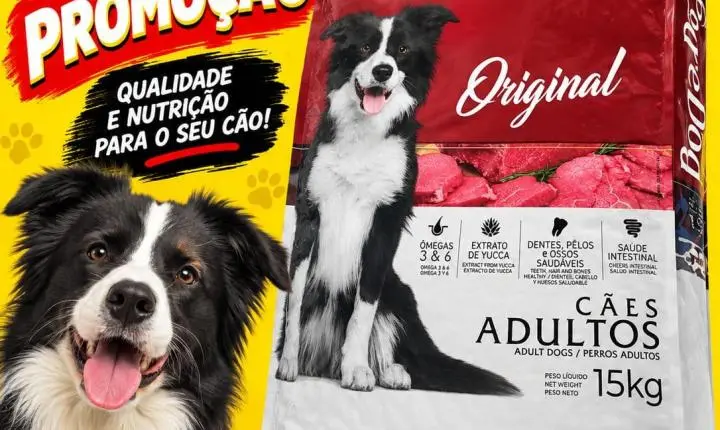 OFERTAS E NOVIDADES NA OLÍMPIA RAÇÕES! 🐾