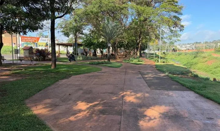 Prefeitura realiza nova etapa do diagnóstico da arborização urbana de Olímpia