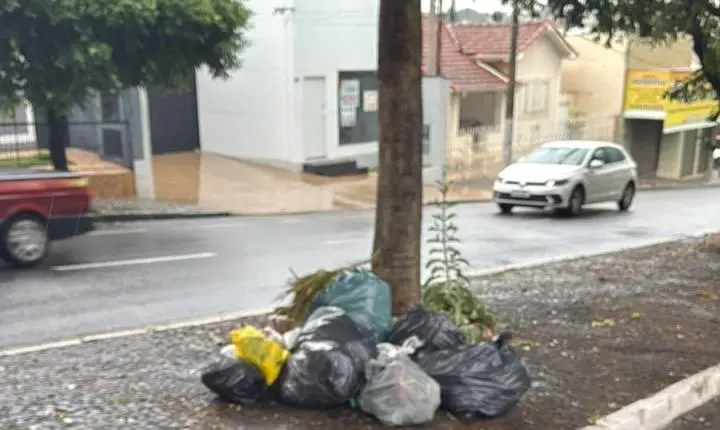 Prefeitura reforça orientação e fiscalização sobre descarte irregular em canteiros e vias públicas de Olímpia