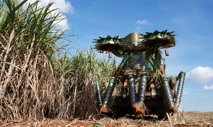 Tereos amplia frota de colhedoras de duas linhas e avança em eficiência energética no campo