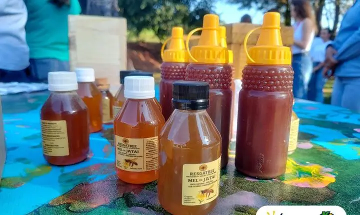 Tereos e Syngenta inauguram meliponário educativo em Olímpia no Dia Mundial da Abelha
