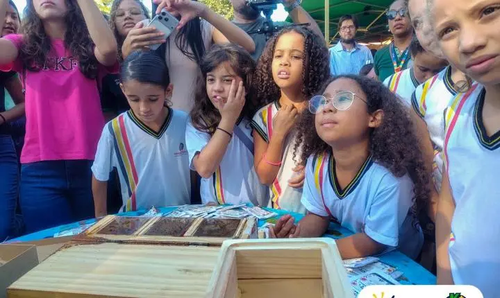 Tereos e Syngenta inauguram meliponário educativo em Olímpia no Dia Mundial da Abelha