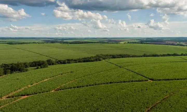 Tereos mapeia 162 mil hectares e estrutura novo modelo de manejo de solo para ampliar produtividade no campo